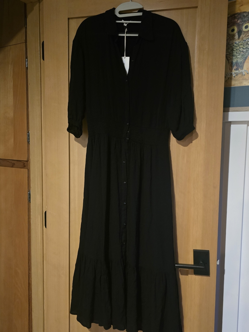 Z Supply Black Button-Front Maxi Dress